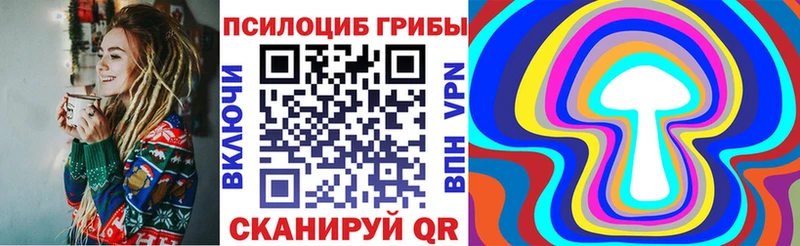 наркота  Тырныауз  Галлюциногенные грибы мицелий 